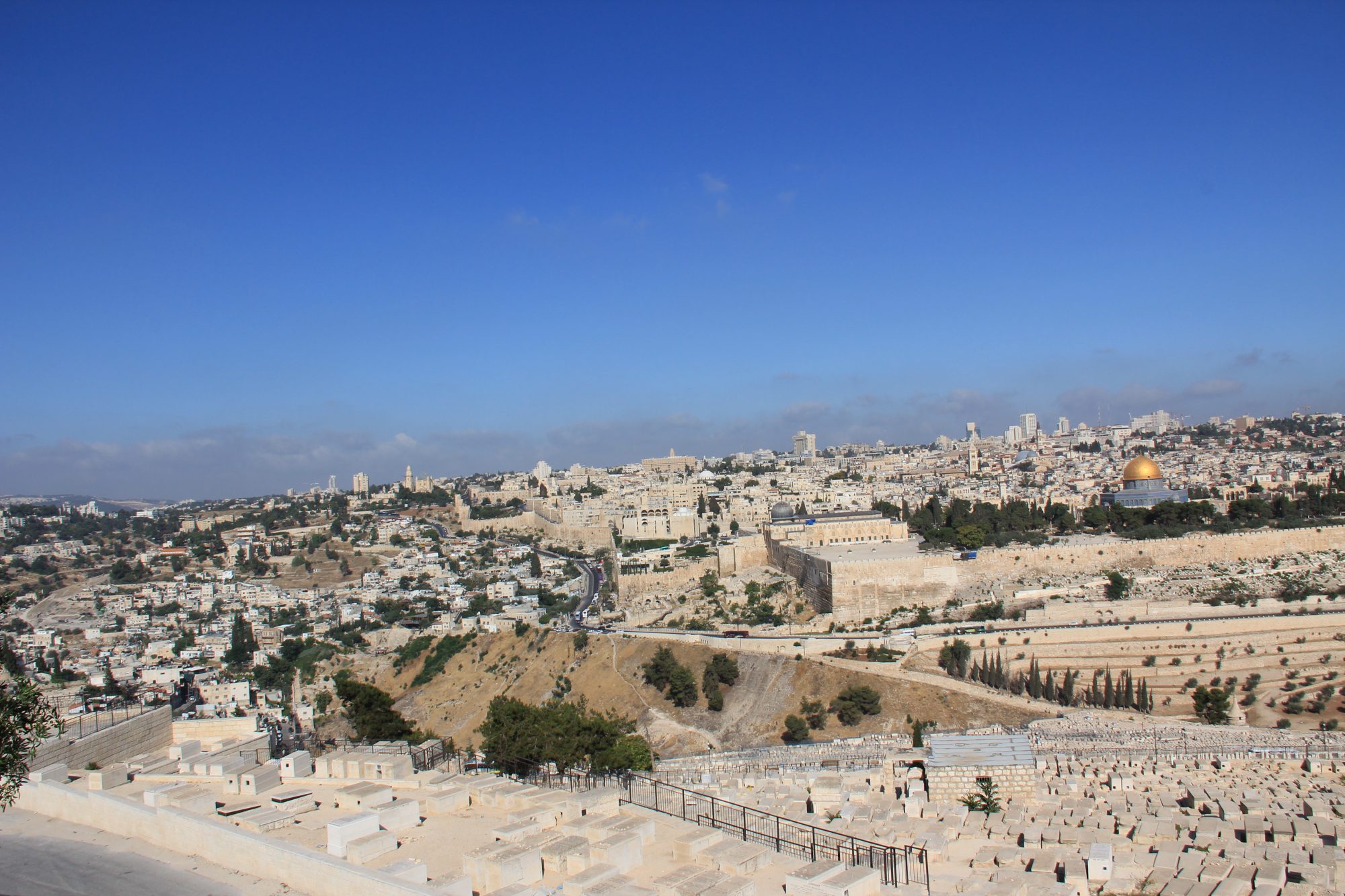 Mount of Olives 15